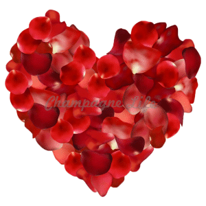 Champagne Life - Rose Petals